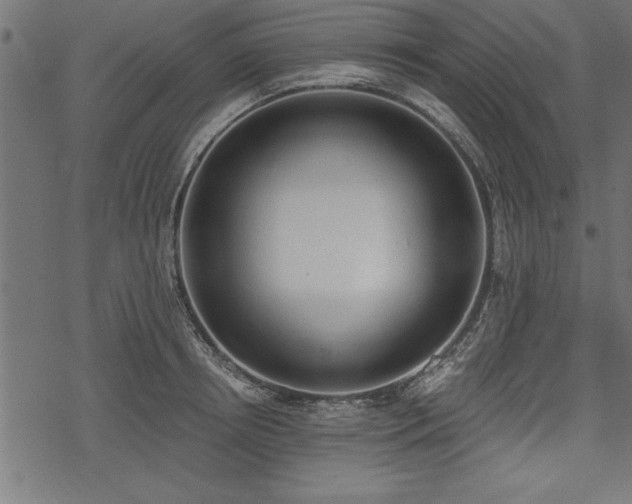 X0000078230850200611031043