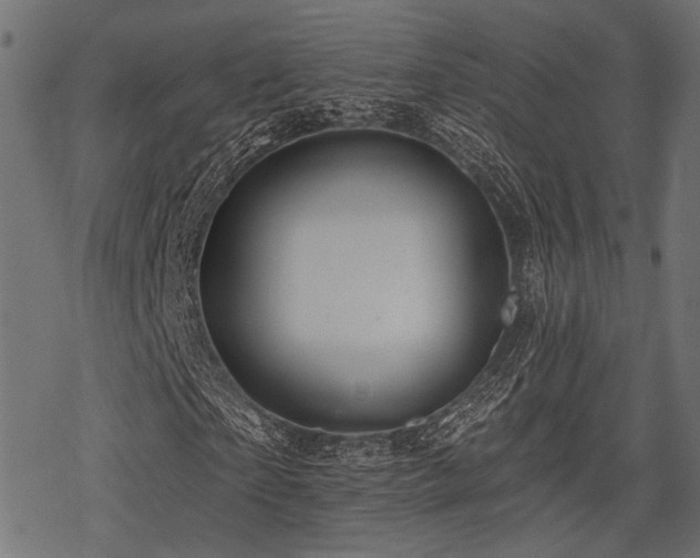 X0000078230865200611031042
