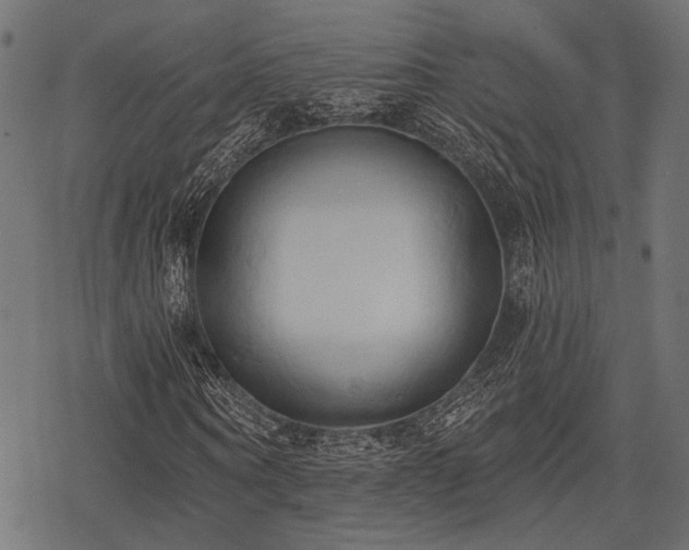 X0000078230866200611031042