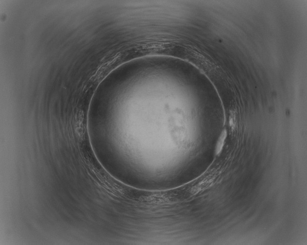X0000078230867200611031042