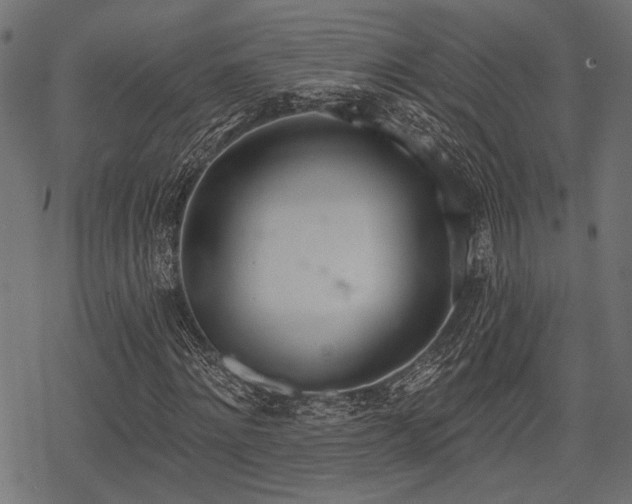 X0000078230868200611031042