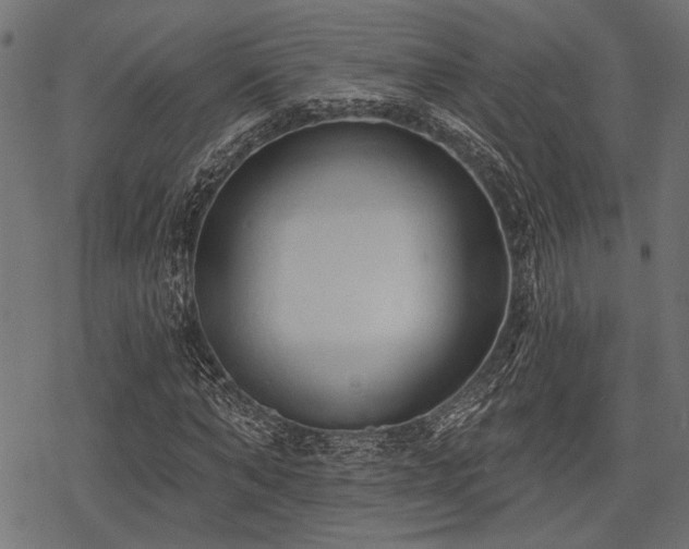 X0000078230870200611031042