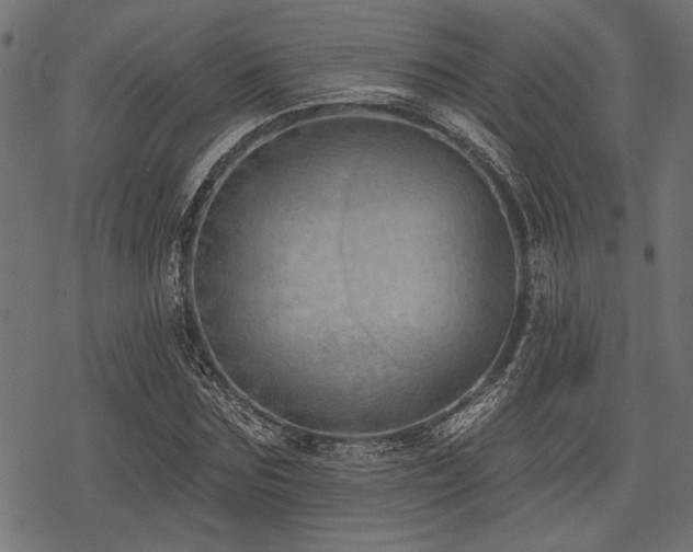 X0000078230875200611031042