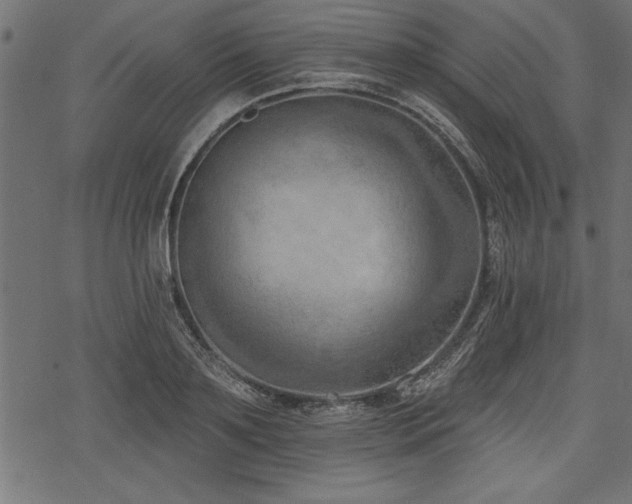 X0000078230891200611031042