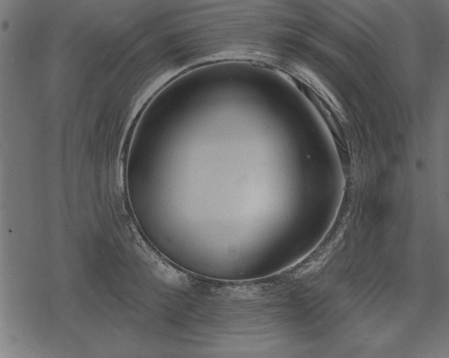 X0000078230900200611031042