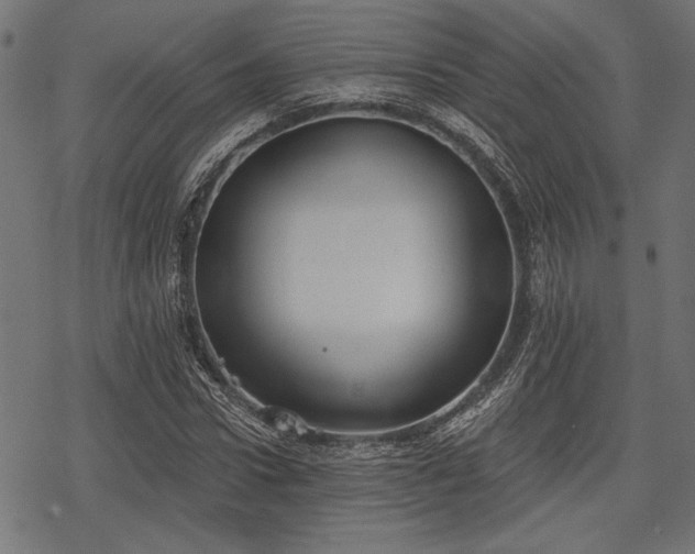 X0000078230922200611031041