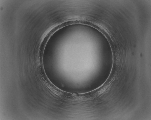 X0000078230927200611031041