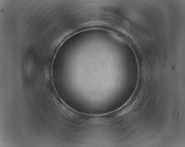 X0000078230929200611031041