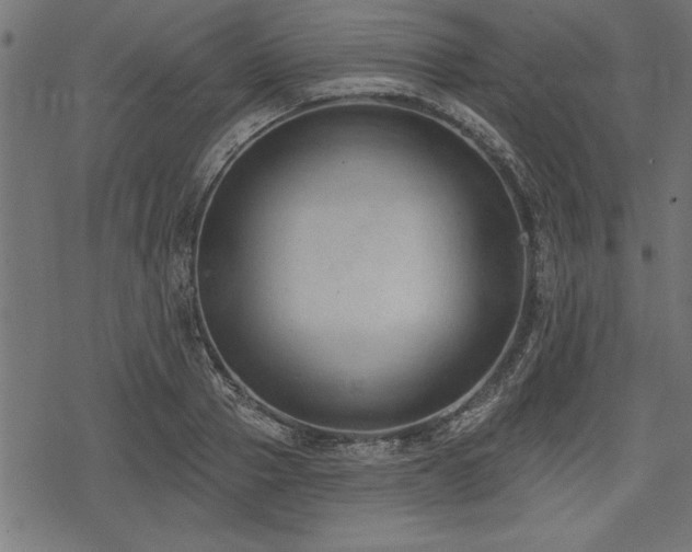 X0000078230937200611031041