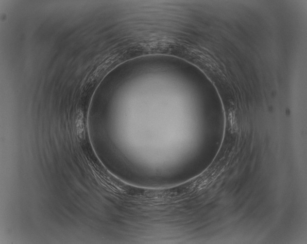 X0000078230963200611031041