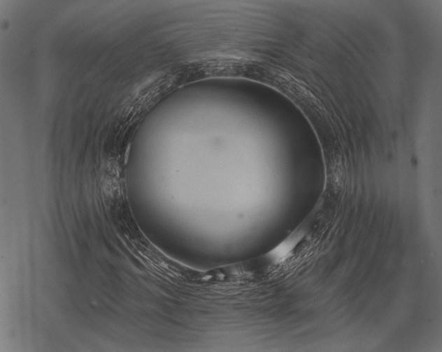 X0000078230964200611031041