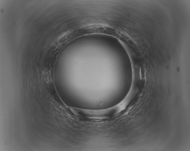 X0000078230965200611031041