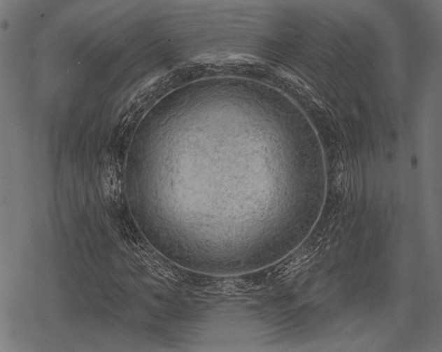 X0000078230966200611031041