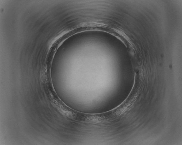 X0000078230971200611031040