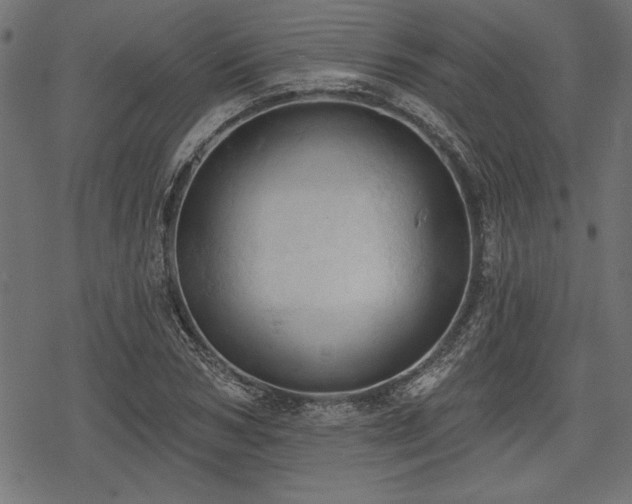 X0000078230978200611031040