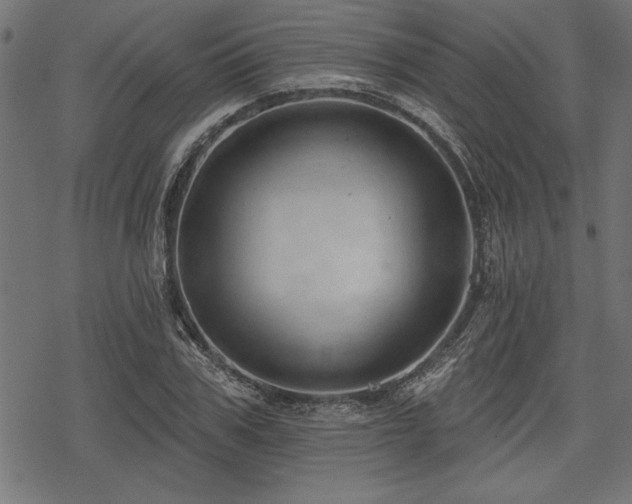 X0000078230979200611031040
