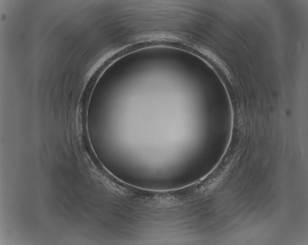 X0000078230983200611031040