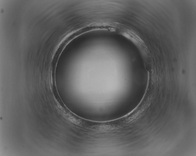 X0000078230984200611031040