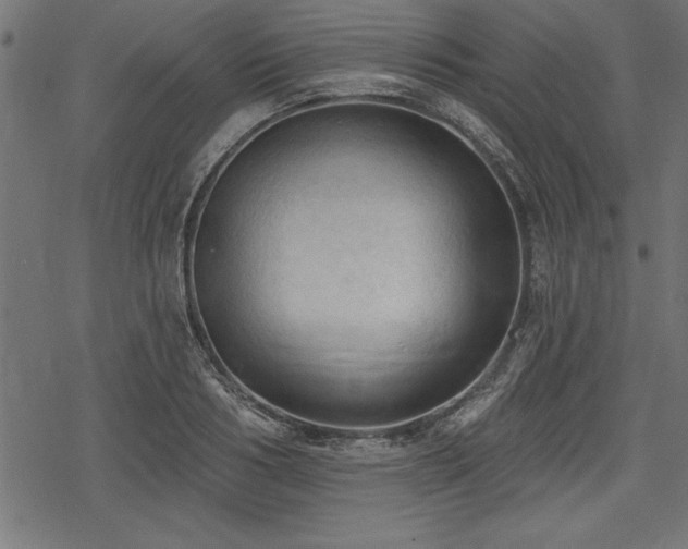 X0000078230986200611031040