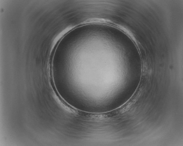 X0000078231003200611031040