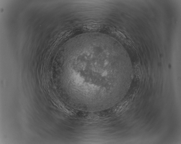 X0000078231009200611031039