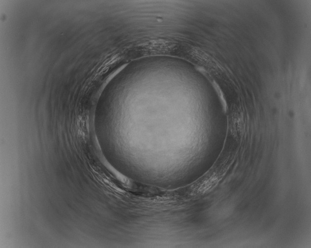 X0000078231010200611031039