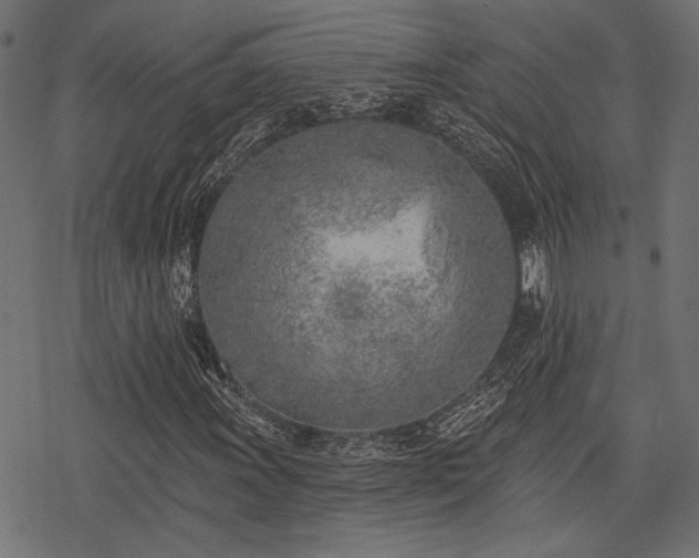X0000078231011200611031039