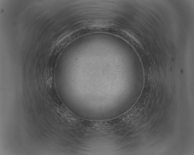 X0000078231015200611031039