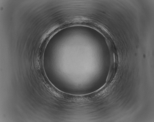 X0000078231018200611031039