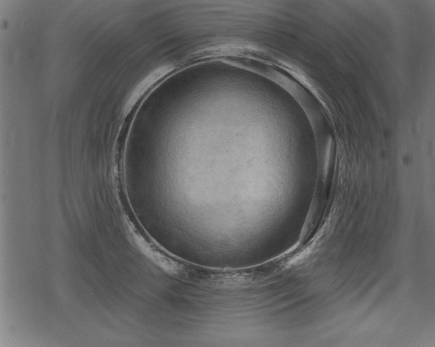 X0000078231042200611031040