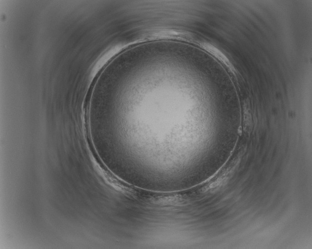 X0000078231047200611031040