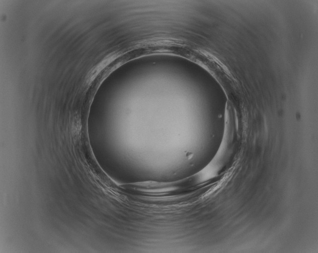 X0000078231065200611031039