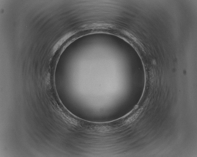 X0000078231066200611031039