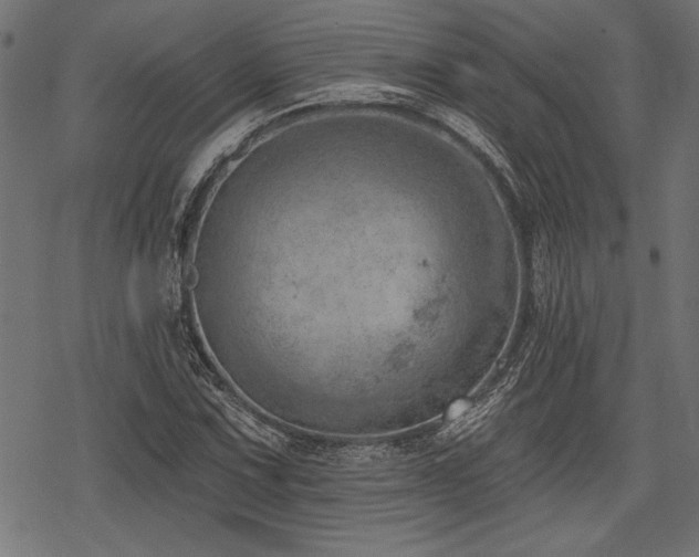 X0000078231067200611031039