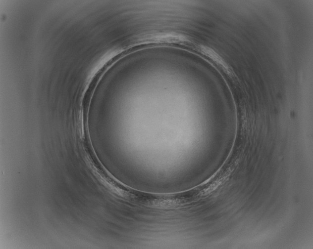 X0000078231079200611031039