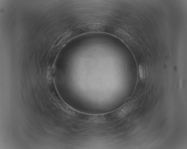 X0000078231107200611031038