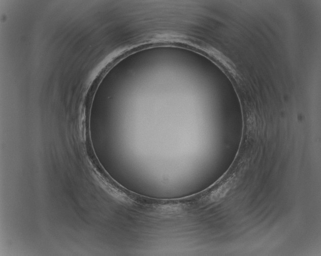 X0000078231126200611031038