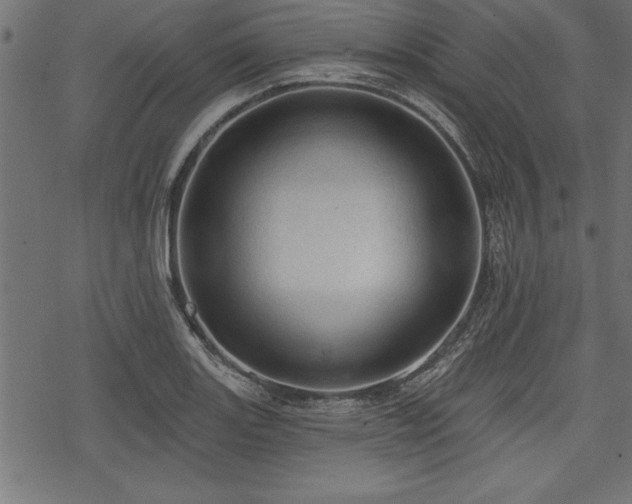 X0000078231131200611031038