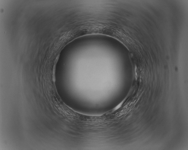 X0000078231153200611031038