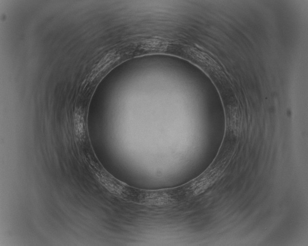 X0000078231154200611031037