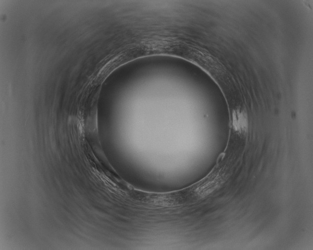 X0000078231155200611031037