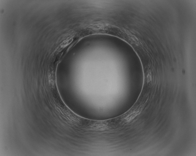 X0000078231156200611031037
