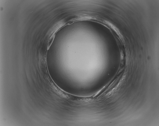 X0000078231193200611031037