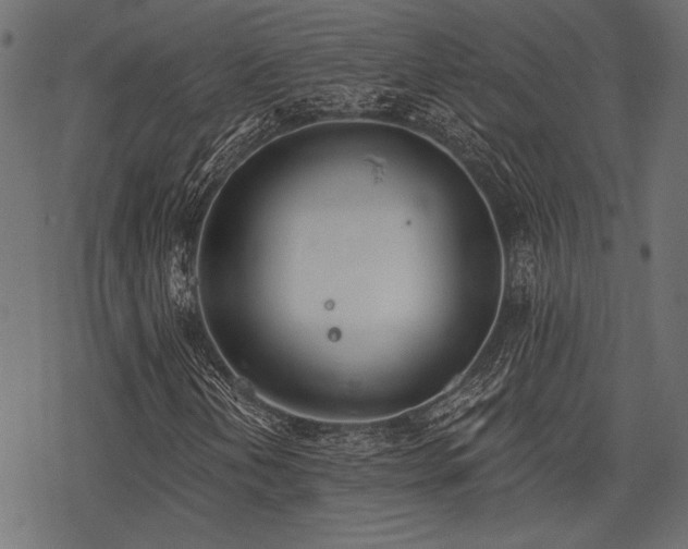 X0000078231202200611031036