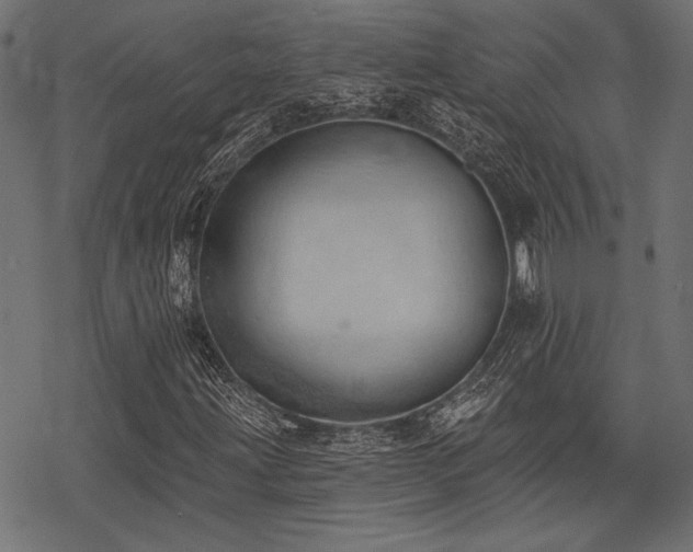 X0000078231203200611031036
