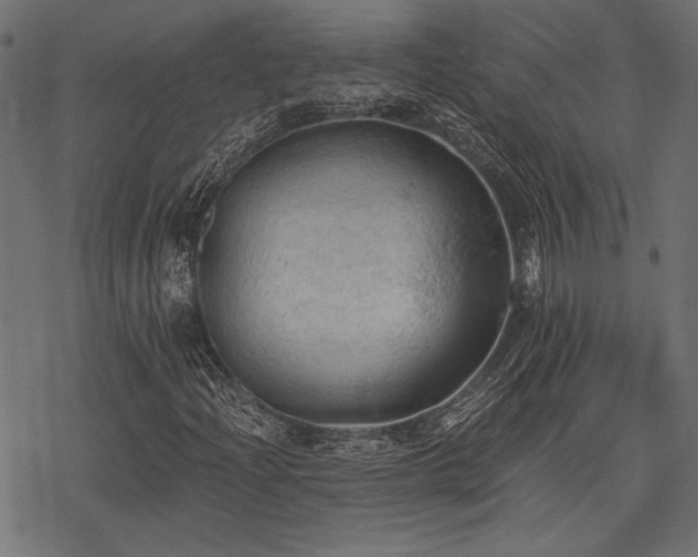 X0000078231204200611031036