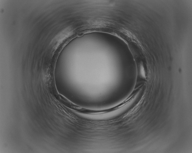X0000078231210200611031036