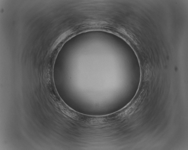 X0000078231211200611031036