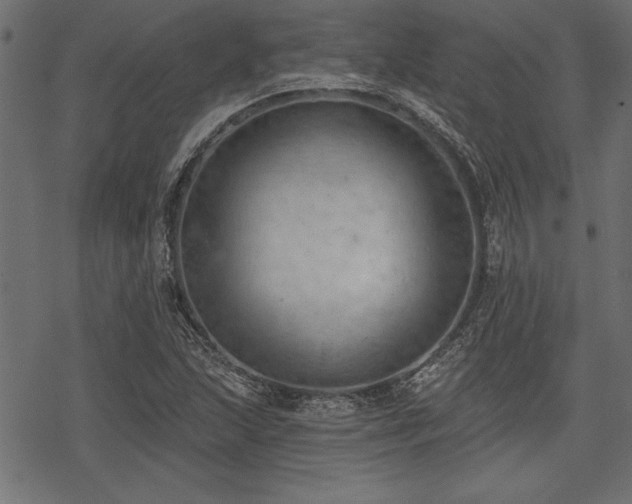 X0000078231215200611031036