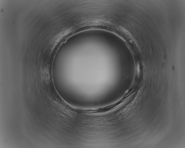 X0000078231218200611031036